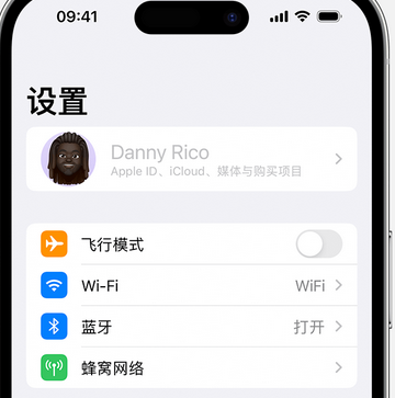 环江appleID维修服务iPhone设置中Apple ID显示为灰色无法使用