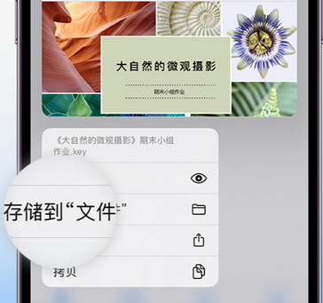 环江apple维修中心分享iPhone文件应用中存储和找到下载文件