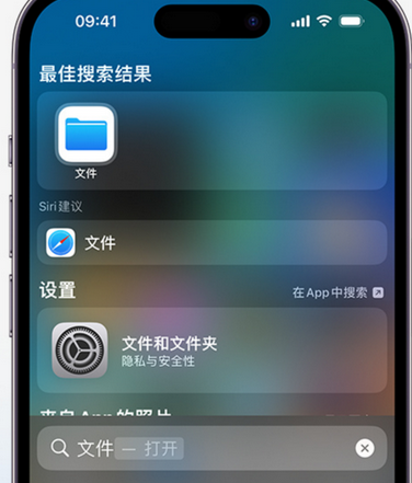 环江apple维修中心分享iPhone文件应用中存储和找到下载文件 