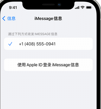 环江apple维修iPhone上无法正常发送iMessage信息 