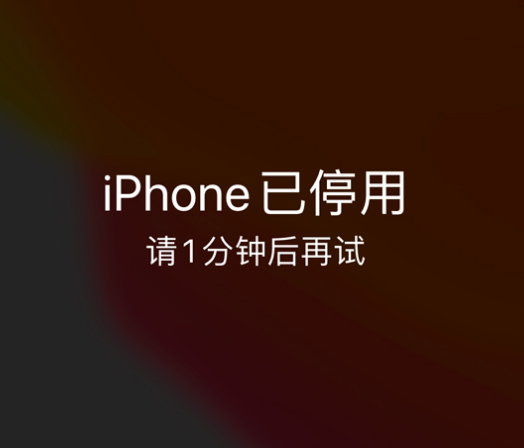 环江苹果手机维修分享:iPhone 显示“不可用”或“已停用”怎么办？还能保留数据吗？ 