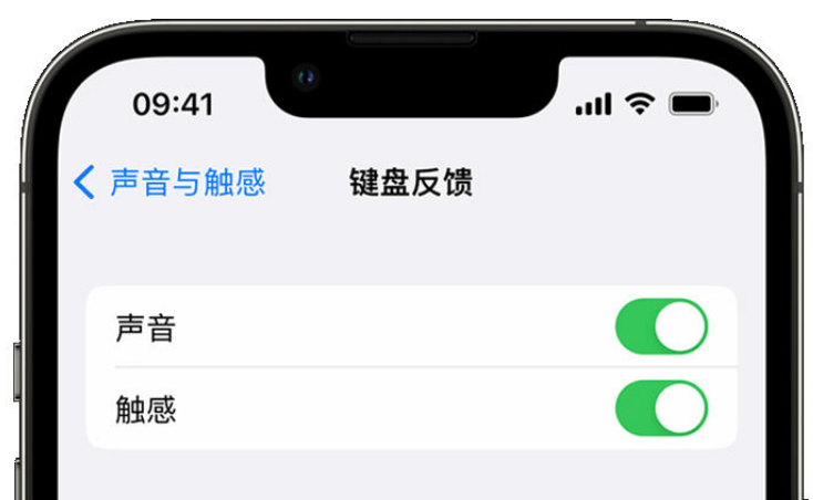 环江苹果手机维修分享iPhone 14触感键盘使用方法 