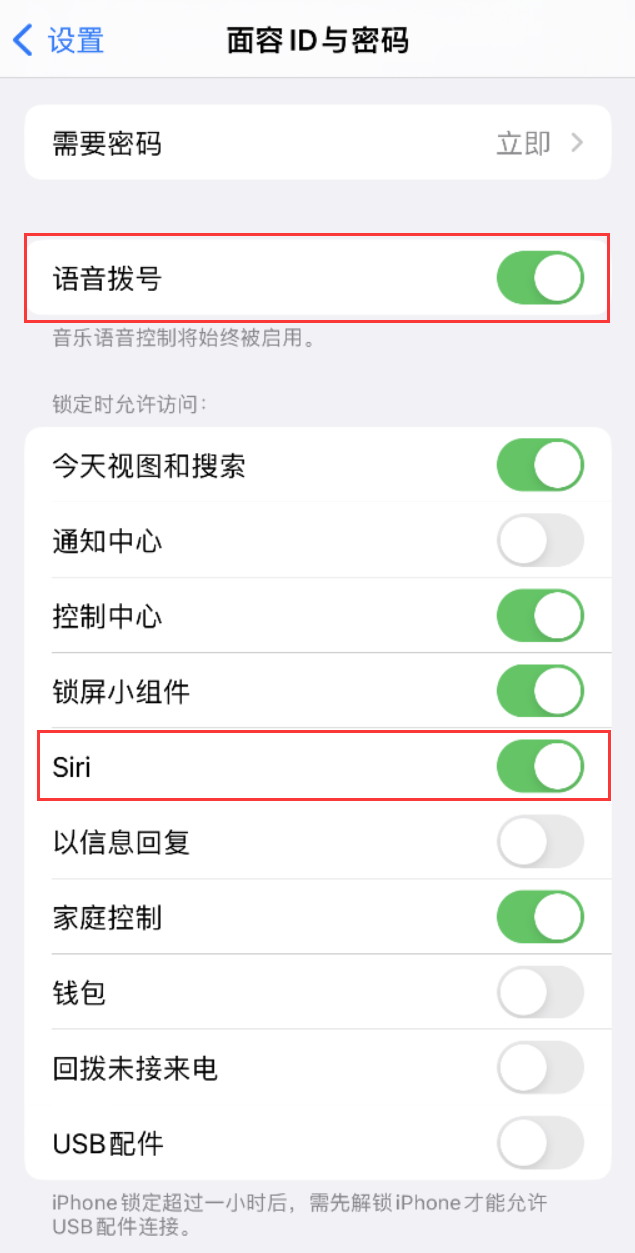 环江苹果维修网点分享不解锁 iPhone 的情况下通过 Siri 拨打电话的方法 