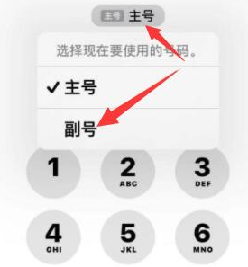 环江苹果14维修店分享iPhone 14 Pro Max使用副卡打电话的方法 