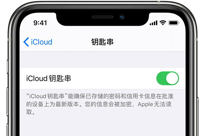 环江苹果手机维修分享在 iPhone 上开启 iCloud 钥匙串之后会储存哪些信息 