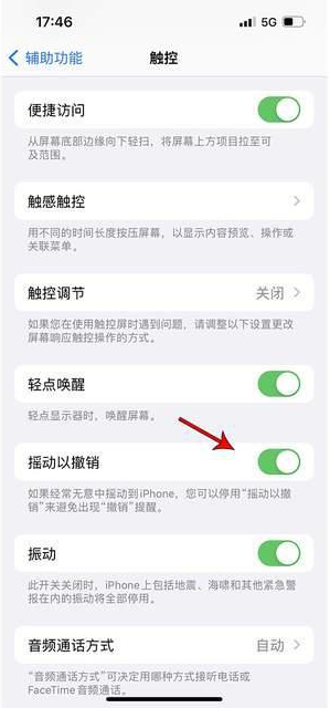 环江苹果手机维修分享iPhone手机如何设置摇一摇删除文字 